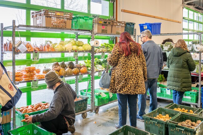 Experience freshness at Farm Fresh RI's market day in Providence.