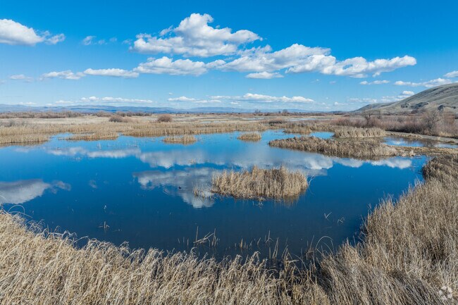 Hike around the 2 mile, 1900 acre Toppenish National Wildlife Refuge for a day of sunshine.