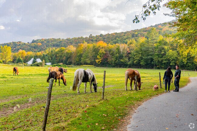 Residents of Murray Hill enjoy living in close proximity to family-owned farms.