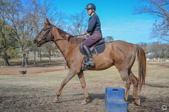 Wilsonville has many horse farms, like Springstone Equestrian.