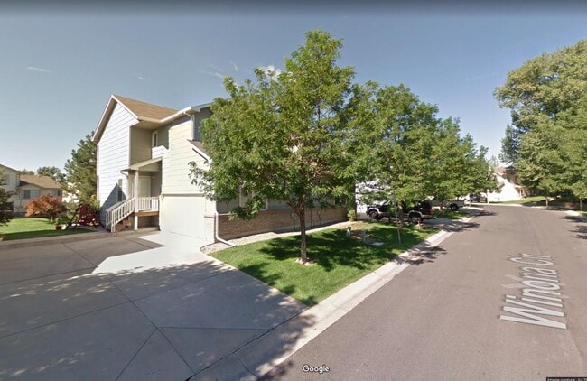 Street View Summer