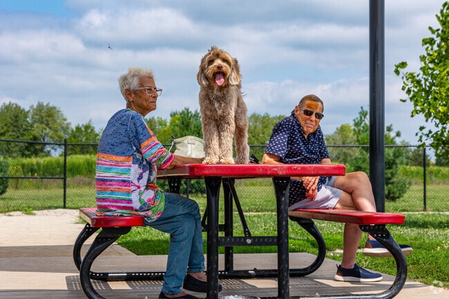 Pet owners can bring their dogs to Centennial Dog Park.