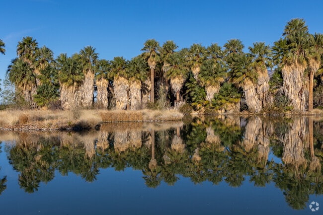 Agua Caliente Park is a beloved bird watching spot in Tanque Verde open to the public since 1985.