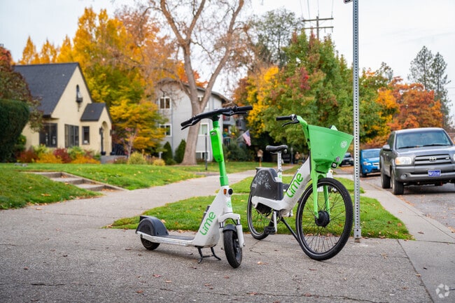 You will find Lime scooters and bikes within the Brownes Addition neighborhood.