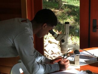 Jill Willingham-Allen