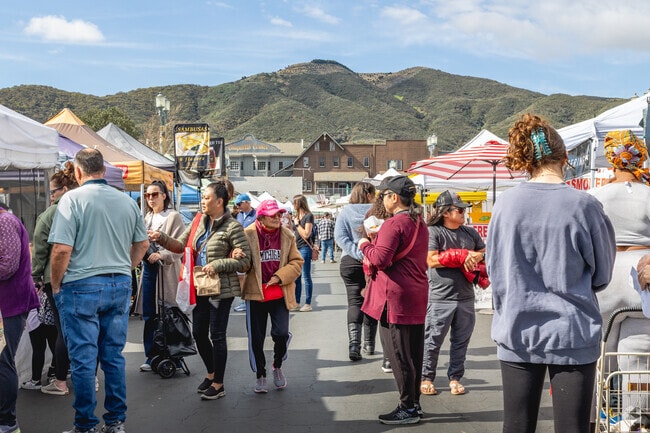 Check out the local vendors every Saturday at the Old Town Temecula Farmers' Market.
