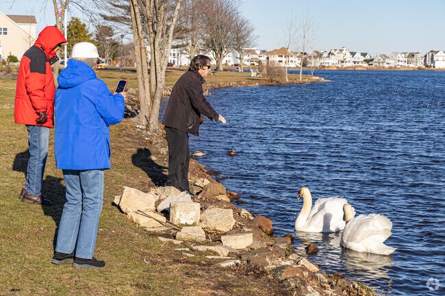 Take a walk around the lake and feed the swans in Lake Como.