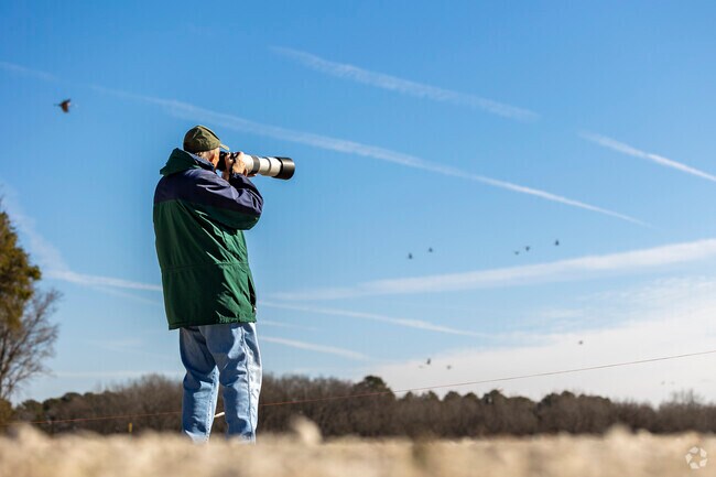 Flint City's Wheeler National Wildlife Refuge is a photographer's and bird watcher's paradise.