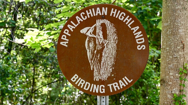 Birdwatchers enjoy Ruffner Mountain near Brown Springs.