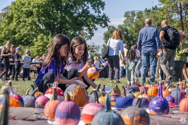 Join neighbors in decorating pumpkins  at the Sands Point Fall Fest.