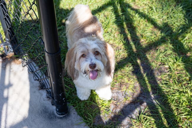 Franky is happy to be living in the Palm Beach Gardens North neighborhood.