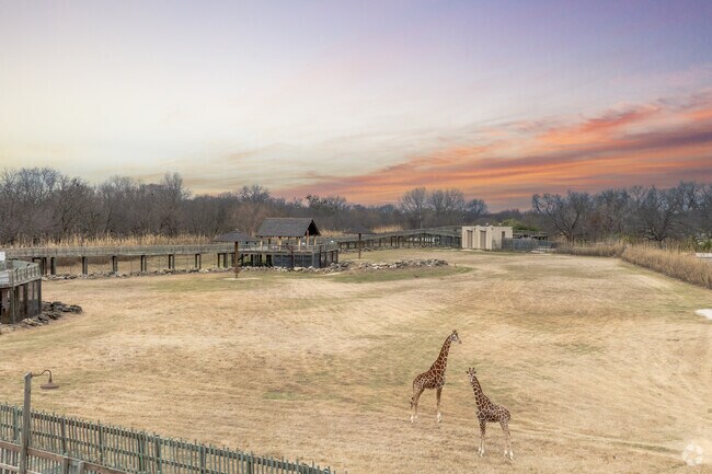 The Frank Buck  Zoo is home to giraffes, zebras, bears, and more in Gainesville.