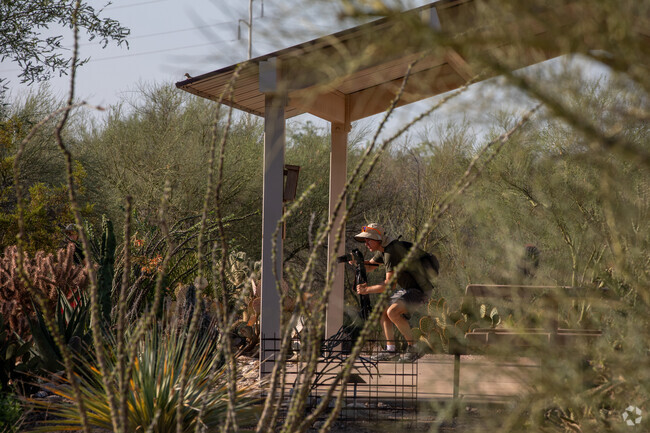 A photographer enjoys the wildlife at Pima Prickly Park in Benan Venture.