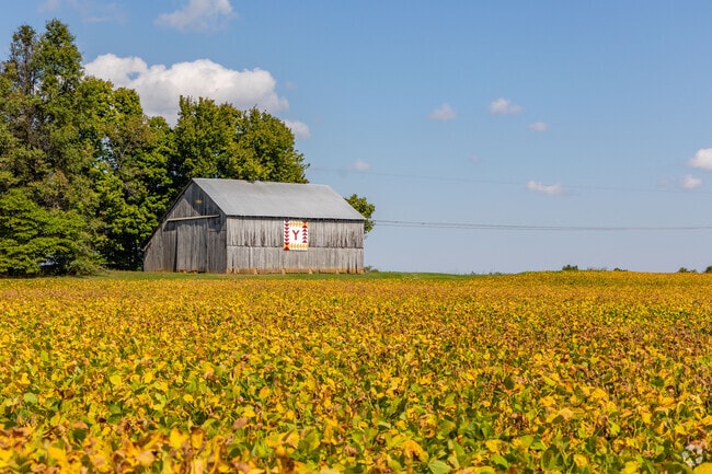 Thruston is an area that is nestled in farmland.