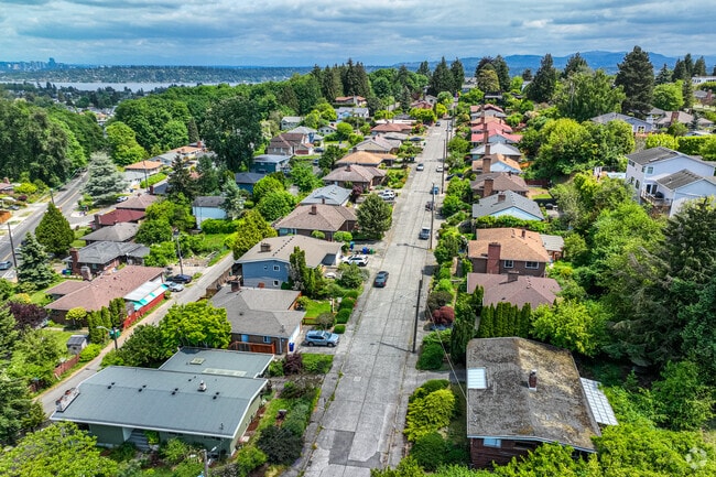 A row of ramblers lead off into the distance in Beacon Hill.