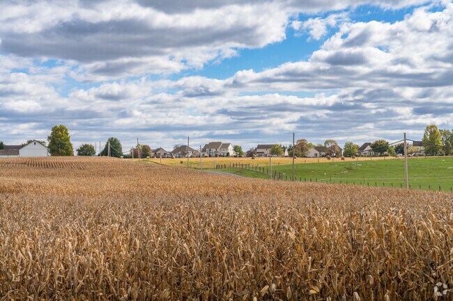 North Londonderry is a scenic and spacious area where locals come to live and retire.