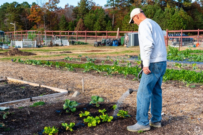 Develop a green thumb in one of Williamsburg's community gardens.