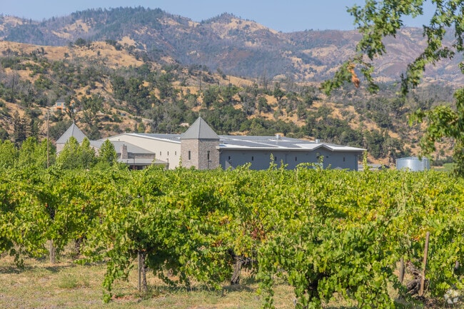 Calistoga's climate is hot and dry with lots of sun, which is great for wine, but terrible for fire season.