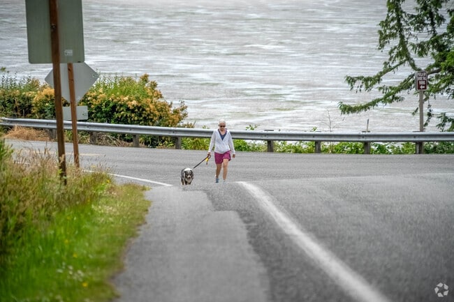 Bay View residents enjoy walking the streets or one of the many trails around the neighborhood.