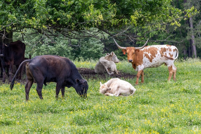 Cleveland is growing fast, but there are still plenty of family farm in the community.