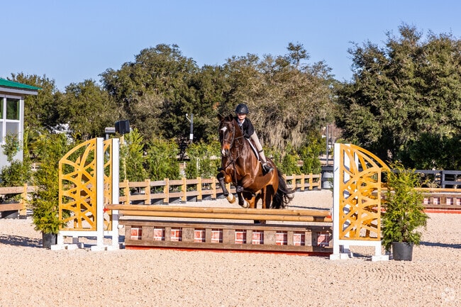 Watch incredible jumping talent on display at the Ocala Winter Circuit: Ocala Holiday Festival.