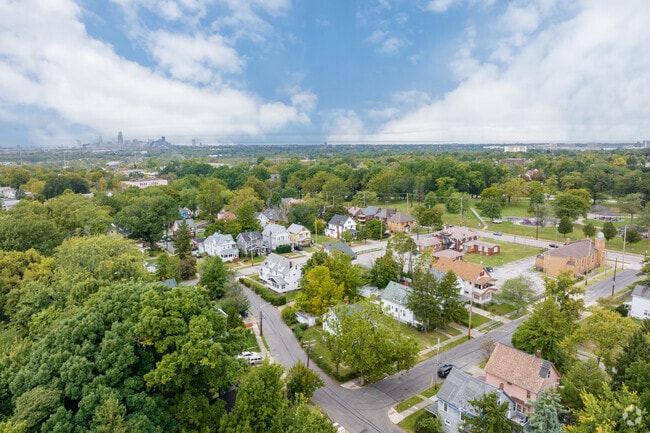 Mount Pleasant is a neighborhood that has no shortage of trees and green grassy properties.