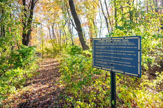 The Laurel Marsh Trails are easily accessible from many areas, but the lot off of Rt 44 is best.