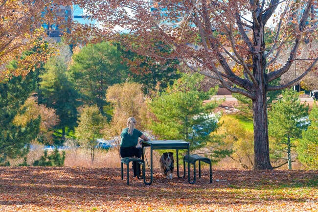 Take in the lushness of Wallace Park at the picnic tables on the east side.