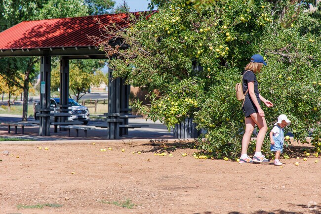 Families love to come enjoy the open space of Rancho Viejo Park.