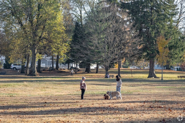 Pet owners from Westport Village head to Winslow Park, which has a large off-leash area for dogs.