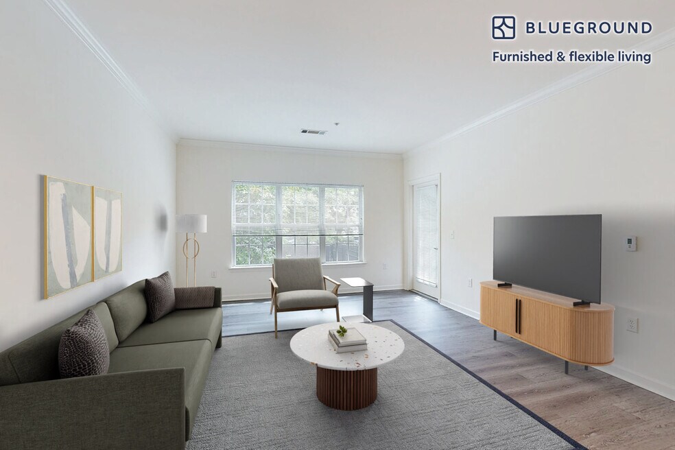 80 N Central Ave unit FL3-ID3384A, Long Island, NY 11570 - photo 1