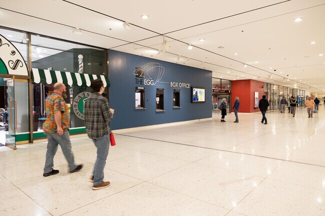 Albany, NY City Guide | About Living in Albany - Homes.com