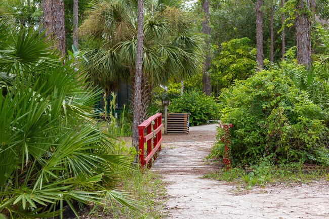 Calusa Park has many walking trails in the green forest.