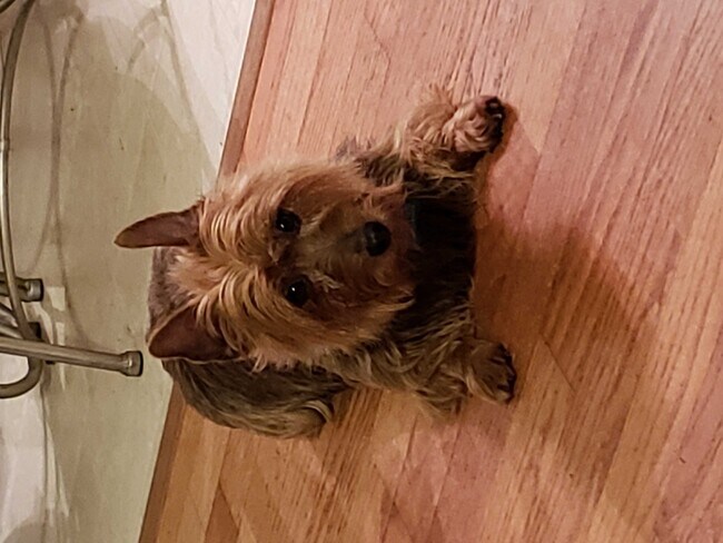 Agent Photo