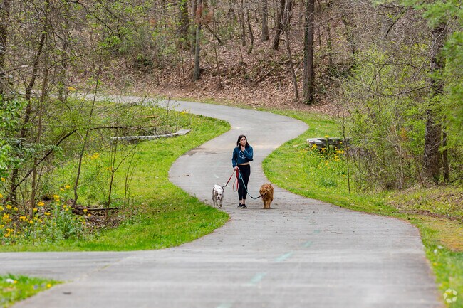 Lionel Hampton-Beecher Nature Preserve is a great place to take the dogs in Chalet Woods.