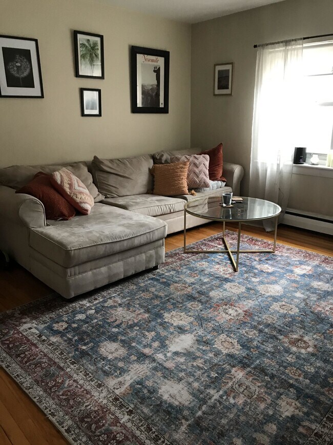 65 Chiswick Rd unit 4, Brighton, MA 02135 - photo 7