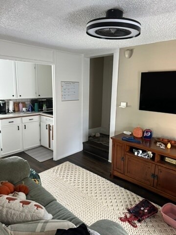 245 Union St unit 3, Hamburg, NY 14075 - photo 3