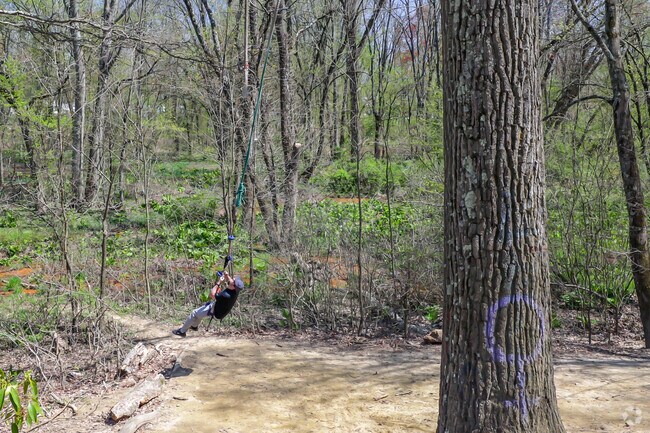 Touch the sky just outside of Ashland on the rope swing at Crows Woods Nature Preserve.