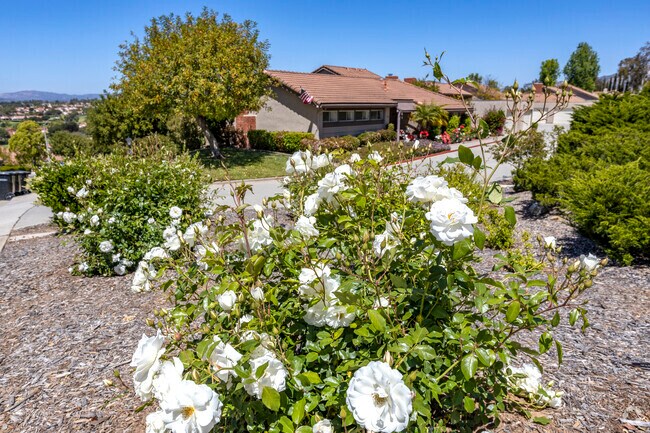 Rancho Bernardo at Plaza Dolores.