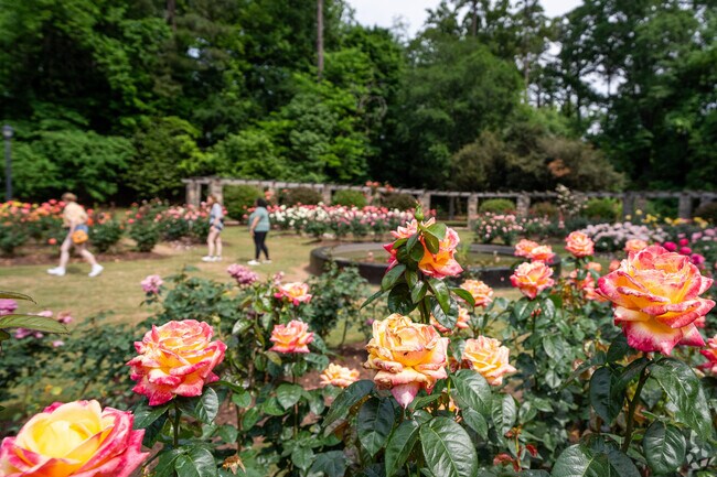 Raleigh Rose Garden