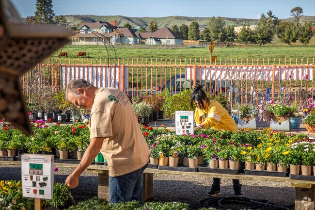 Find a variety of plants and flowers at Cherry Valley Nursery and Landscape Supply.