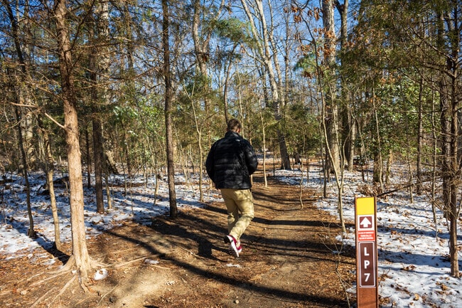 Locals of Stony Point enjoy quiet nature walks in Lewis G. Larus Park.