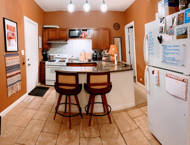 2906 S Wells St unit 1F, Chicago, IL 60616 - photo 5