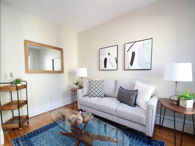 217 Boylston St unit 2, Jamaica Plain, MA 02130 - photo 2