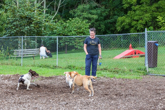 Blacksburg Dog Park is the go to dog park near Tom's Creek.