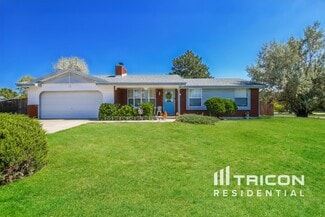 11709 St Paul St, Thornton, CO 80233