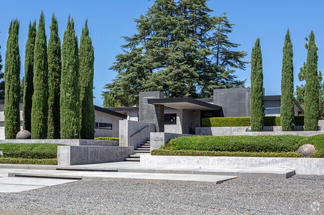 Cypress trees stand in the yard of a unique home in Del Rio.