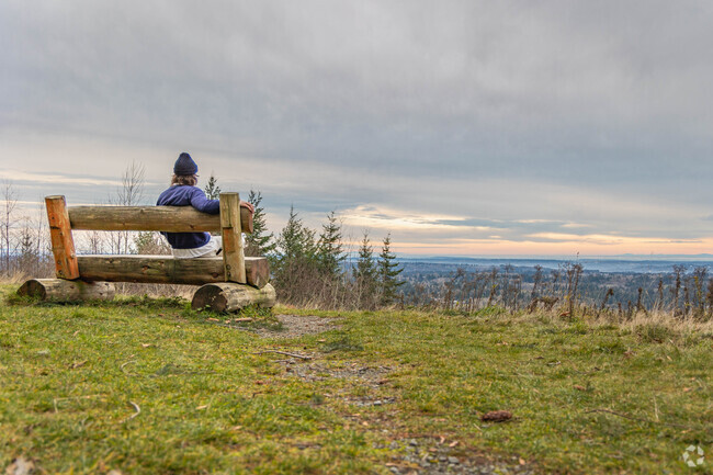 Take in the views at Squak Mountain State Park near Fairfield Coalfield.