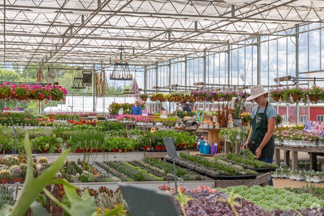 The Country Garden Shed in Franklin Township is a charming spot for unique garden supplies, plants, and local handcrafted items, perfect for green thumbs.