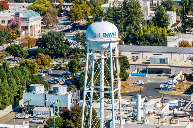 UC Davis is nicknamed the Public Ivy.